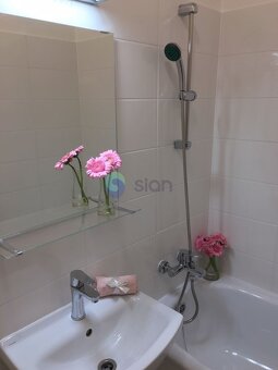 Podnájem bytu 1+kk 32 m2, ul. Jana Maluchy 127/9, Ostrava -  - 5