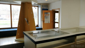 Fulnek - dum k bydlení i podnikání - 5