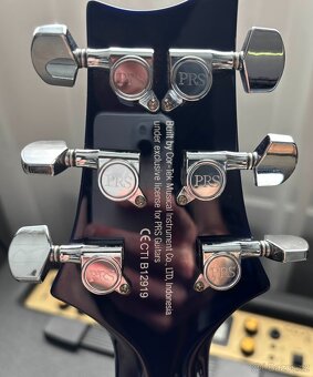 PRS SE Standard 24 - 5