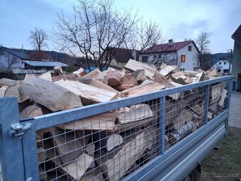 palivové dřevo - 5