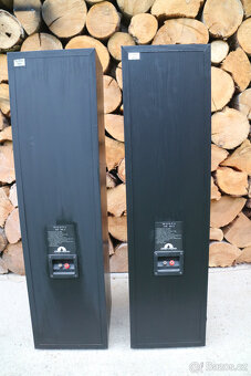 Sloupy OMNI AUDIO AE 88.2 - 5