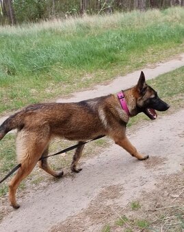 FREYA K ADOPCI - dokonalá parťačka - 5