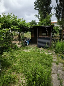 Pronájem zahrady 125m2 - 5