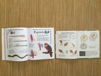 Kreativní knihy pro děti a Kuchařka mladých svišťů - 5