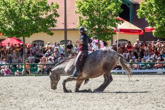 Luxusní kobyla - 5