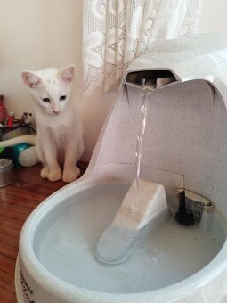 Předu, pletu, háčkuju - 5