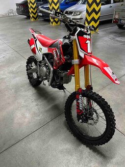 Pitbike WPB 190 Beast - 5