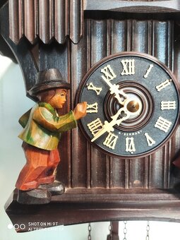 Starsi,  kukacky, Schwarzwald, funkcni - 5