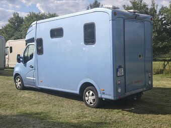Přepravní na koně Renault Master Paragan Excelsion 5 - 5