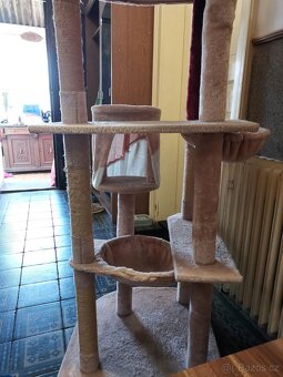 Škrabadlo pro kočky 200x60x60 - 5