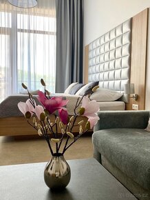 Apartmán Vysoké Tatry - Starý Smokovec - 5