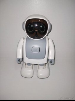 Program dancer Robert robot - 5