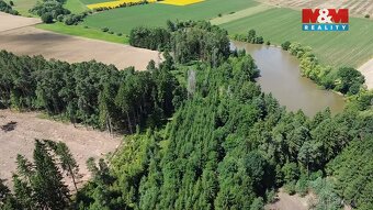 Prodej lesa, 5323 m², Opařany - 5