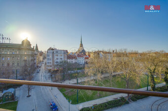 Pronájem bytu 1+kk, 23 m², Plzeň, ul. Šafaříkovy sady - 5