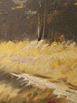 Obraz Vítězslav Fleissig Vysoké Tatry, olej 31x42 - 5