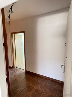 Slunný byt 2+kk po rekonstrukci - Poděbrady - 5