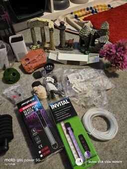 Akvárium i s rybkami - 5