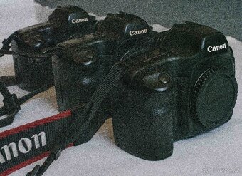 CANON 5D - 5