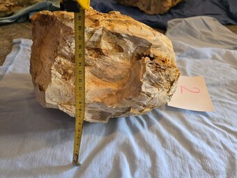 Zkamenělé dřevo do akvária - 5