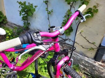 Kolo Specialized 24" kola - dívčí - 5