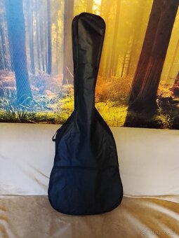 Elektroakustická kytara - 5