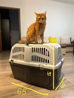 Přepravku pro psa/kočku - 5