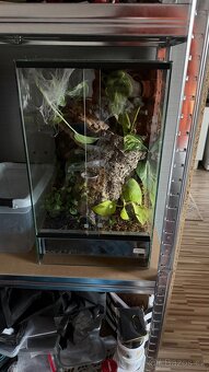 4x terárium - 5