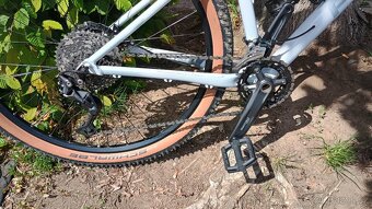 Focus Whistler 3.8 ,29" - 5