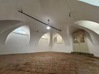 Pronájem nebytových prostor - 5