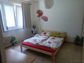 Byt 2+1 i s balkonem - 5