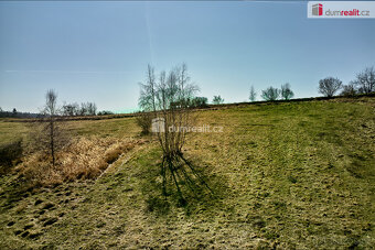 Stavební a lesní pozemky, 11355 m2, Křínov u Plané, okres Ta - 5