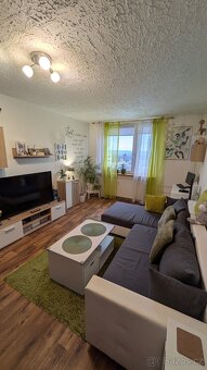 Pronájem kompletně vybaveného bytu 2+kk - 5