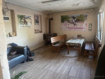 Ustájení koní - 5