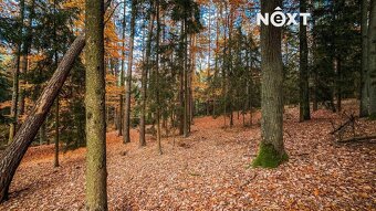 Prodej pozemek Lesy, 10398㎡ - 5