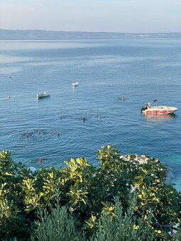 Motorový člun loď - 5
