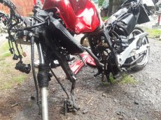 honda transalp 650 dily - 5