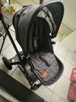 Lionelo Amber - 5