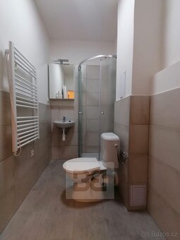 Pronájem bytu 1+kk 26 m², Ostrava - Přívoz, ev.č. N08587 - 5