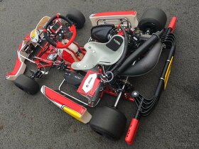 MOTOKÁRA BIREL ART ROTAX DD2 - 5