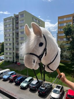 Hobby Horse - 5