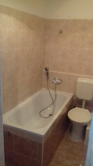 Pronájem 1+1 volný - 5