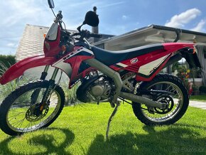 Gilera RCR 50ccm - 5