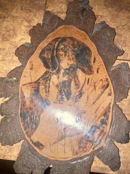 Daněk,myslivost - 5