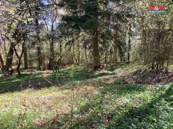 Prodej chaty, 16 m², Zbraslavice - Kateřinky, pozemek 459 m² - 5