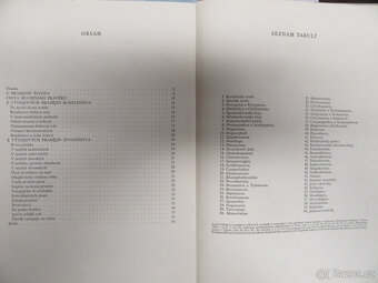 Hlubinami pravěku - J. Augusta a Z. Burian, 1956 - 5