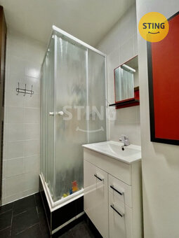 Nabízíme vám k pronájmu byt 1+1 v Hodoníně o ploše 4, 133887 - 5