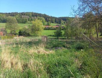 Prodej stavebního pozemku 1205 m2 ve Skelné Huti u Chudenína - 5