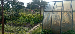 Prodej zahrádky - 5