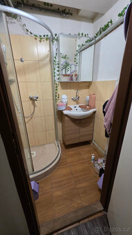 Pronájem pokoje 16 m² Praha 7 u metra Vltavská - 5