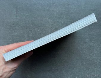 VÁLKA A CHTÍČ, SEX A AMERIČTÍ VOJÁCI - MARY LOUISE ROBERTS - 5